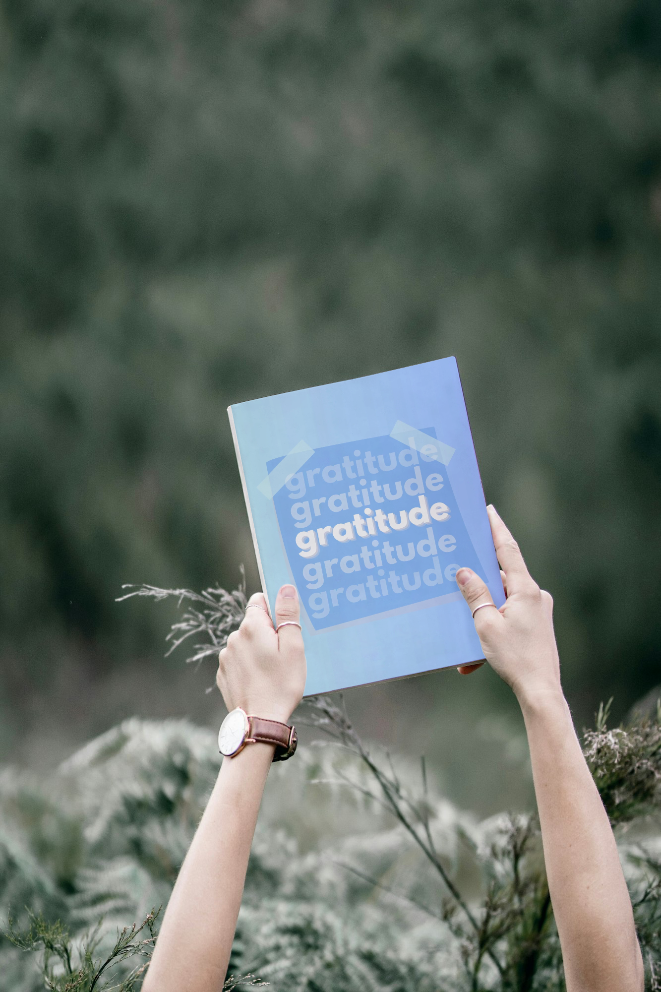 Gratitude Journal: Invest 5 Minutes a Day to Develop Thankfulness, Mindfulness, and Positivity