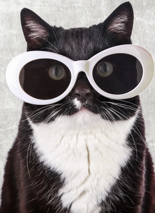 Cool Tuxedo Cat With Sunglasses 6x9 Notebook